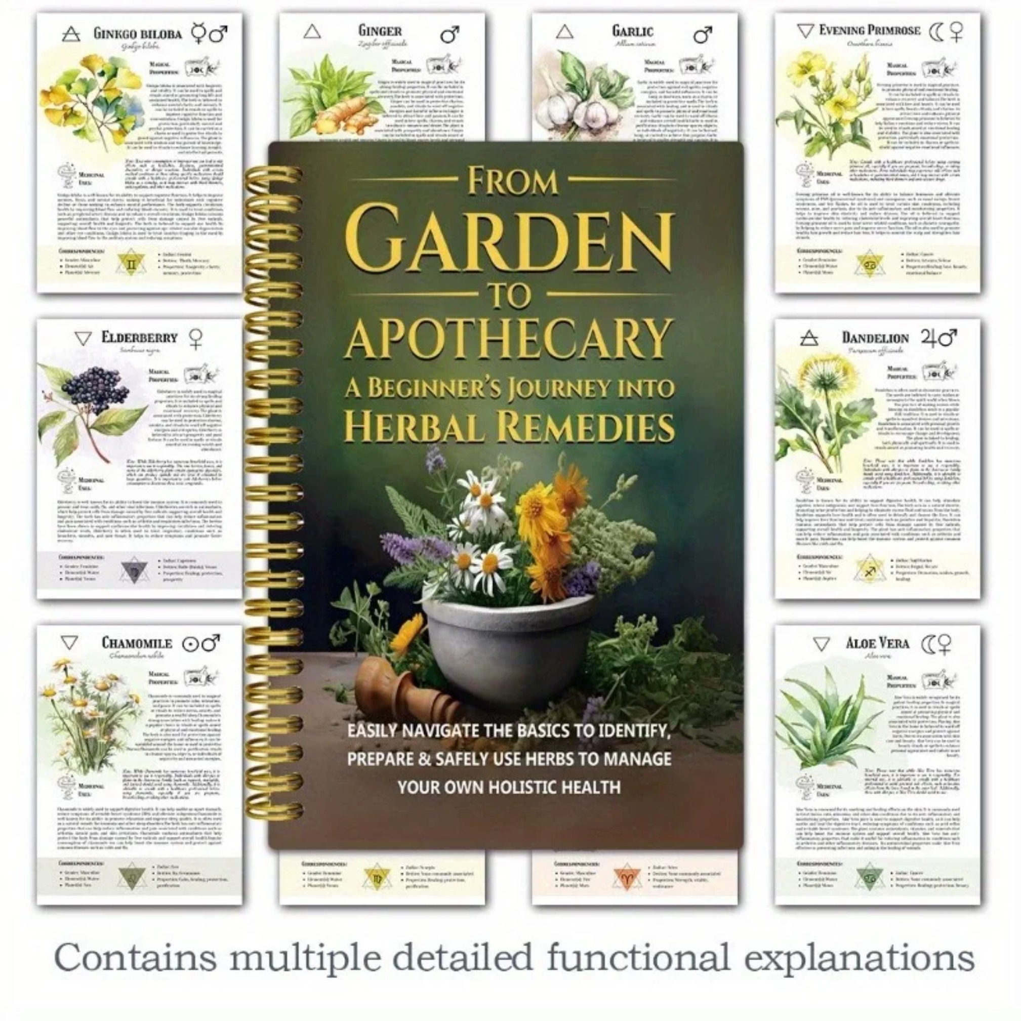 From Garden To Apothecary A Be - Herbal Wellness Remedy ulasan dan harga